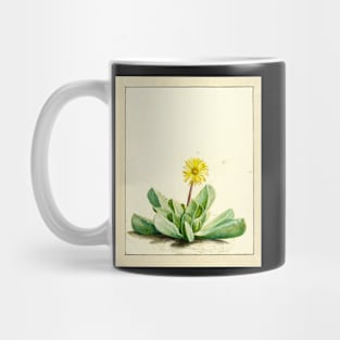 Tiger jaw succulent - Faucaria subintegra - botanical illustration Mug